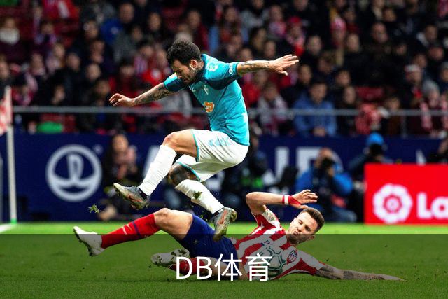 DB体育公司简介配图